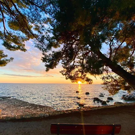 Aurelis Апартаменты Пореч